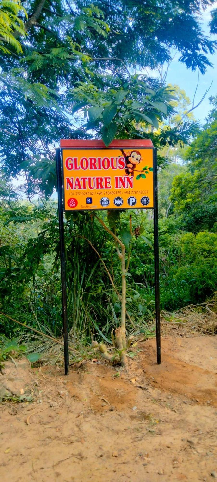 Glorious Nature Inn Ела Екстериор снимка